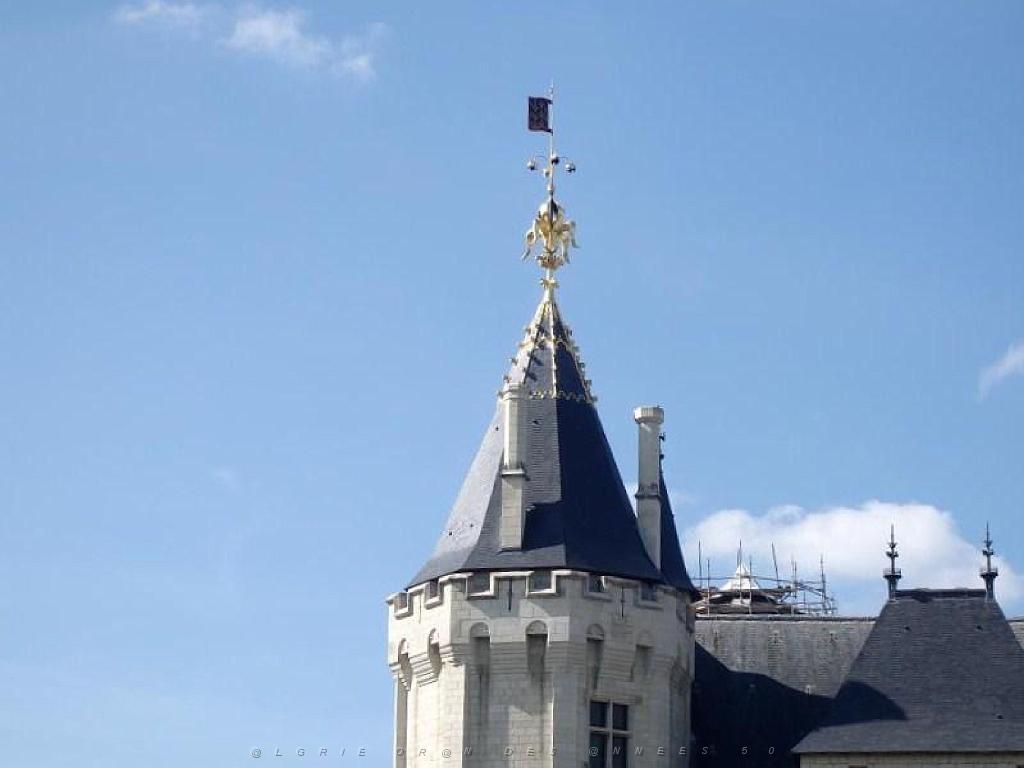 149 DOMAINE DE BLAIRE ET ENVIRONS MAINE ET LOIRE 2016 N0_000033.jpg